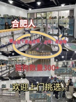 合肥推荐好的犬舍和猫舍，这家宠物店支持带宠物去任何第三方做健康检测更放心