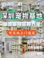 深圳哪里有正规宠物基地，深圳这家实体老店买的放心，有安全保障