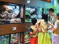 古城商圈建起“一站式”宠友空间 各类萌宠消费场景遍地开花