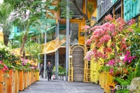 3月26日至29日，白云区这场文创游园会邀您与萌宠共赴治愈之旅