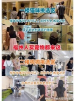 福州哪里有卖宠物猫狗的地方，这家实体老店买的放心，有安全保障