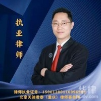 买一只陆龟买是否违法，法律的规定是什么