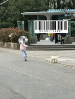 上海动物园明令禁带宠物却仍有小狗出没，园方：系游客藏于儿童车带入，已劝离