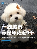 一线城市养宠年花近9千