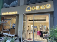 “毛孩子”过上了集体生活，00后店主开狗狗幼儿园