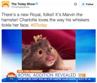 英国皇室的新晋成员是一只萌碎众人的宠物仓鼠