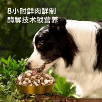 京东京造狗粮评测：为爱犬选择优质营养的理想之选