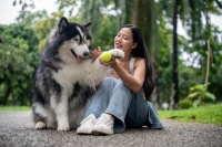 f和狗狗天天说话狗狗能听懂吗？