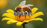 我的宠物 My pet【实用3篇】