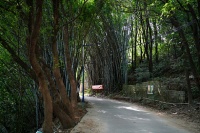 男人挺进雌性宠物爽到叫｜宠物情动：网络热议，关爱与尊重的反思