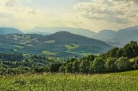 教你如何给宠物兔正确洗澡