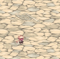 DNF全职业迷你二觉宠物外观 暗夜使者【刺客】