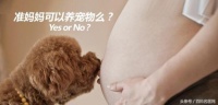 女主人怀孕了，如何解决宠物和孕妇之间的爱恨情仇