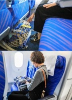 关注宠物经济丨带宠物出行，如何更友好？