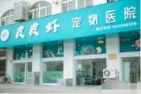 江苏镇江句容市皮皮虾宠物医院