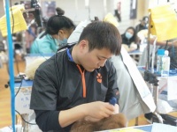 无锡想学宠物美容师去哪里好
