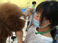 无锡学习宠物美容技术哪里好