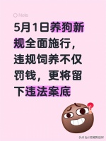 5月1日养狗新规全面施行，违规饲养不仅罚钱，更将留下违法案底