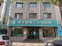 瑞派小俏皮宠物医院：西安骨折手术、郑州术后护理等多地区优质宠物医疗服务提供者