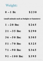 多伦多宠物殡葬服务攻略