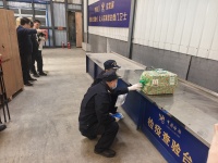 全国首单！“沈阳猫”开启活体宠物跨境出口 辽宁沈阳加快打造“沈宠之都”