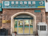 深聊天津做宠物微创绝育、血常规检查，以及龙猫看病的医院如何选择