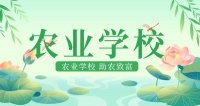 淮安农校宠物医院猫咪绝育(淮安宠物医院绝育)