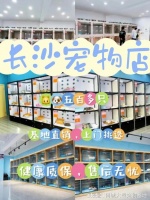 长沙哪里买宠物靠谱安全，长沙这家实体老店买的放心，有安全保障