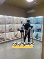 南京哪里买狗买猫靠谱 南京宠物正规商家 这里藏进毛孩子的日常