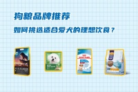精选狗粮品牌推荐：如何为爱犬挑选理想饮食