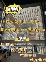 郑州哪里可以买到便宜的宠物猫狗，这家资质齐全的宠物店可以放心冲。