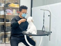 温州这种生意爆火！有人一天赚几百！