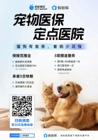 2026年4月郑州狗狗零食专业选购指南：宠之音宠物医院深度评估