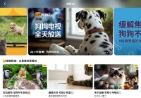 当“毛孩子”开始追剧，换个角度再看宠物经济