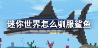 迷你世界怎么驯服鲨鱼