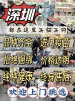 深圳宠物商店在哪里，这家资质齐全的宠物店可以放心冲。