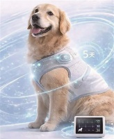 瞄准宠物心脏健康痛点 杭企“质子心宠”获融资加码智能心电衣