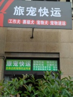 杭州下城区宠物托运公司 宠物托运 宠物快递 宠物运输 杭州