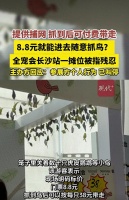 8.8元就能在宠物展上随意抓鸟引热议，主办方：是参展商个人行为，目前已叫停