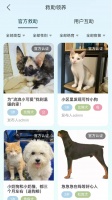 PetMeet官方下载