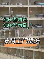 绍兴哪里可以买到宠物猫狗，这里宠物健康可溯源拒绝星期宠。