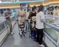 请问盒马鲜生：宠物狗可以如此堂而皇之的进入你们的店面吗？