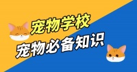 青岛哪里学宠物美容学校