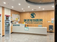 郑州、安阳、洛阳、西安好评宠物医院推荐：清洁、筛查、护理全搞定