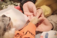 一位宠物殡葬师眼中的生死离别