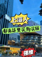 上海买金渐层猫哪里有实体店（上海）这家宠物店良心推荐，信誉高