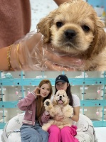 2026年上海宠物购买品牌排名，大莹家宠物店靠谱之选值得推荐