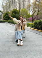 2026年上海买茶杯犬、泰迪狗，这些宠物店性价比哪家高