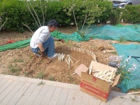 变废为宝建犬厕 文明养犬入人心 ——林荫家园社区打造文明养犬新阵地