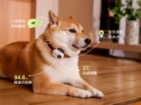 AI 赋能宠物科技：PettiChat（萌小译）入局宠语翻译赛道，打造人宠沟通新范式